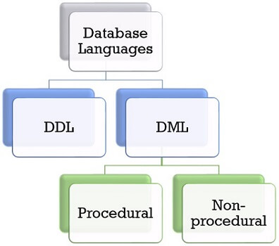 What is Database Languages? DDL & DML - Binary Terms